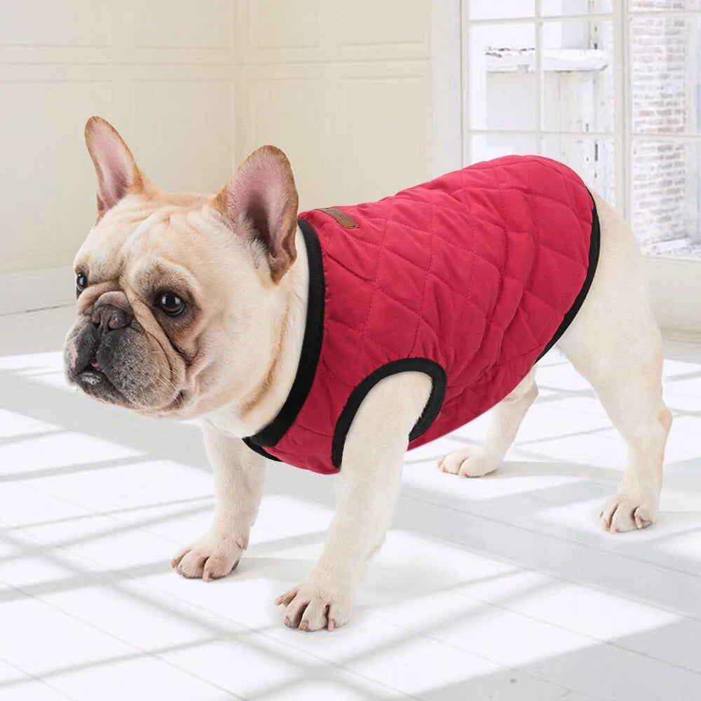 Dog Jacket