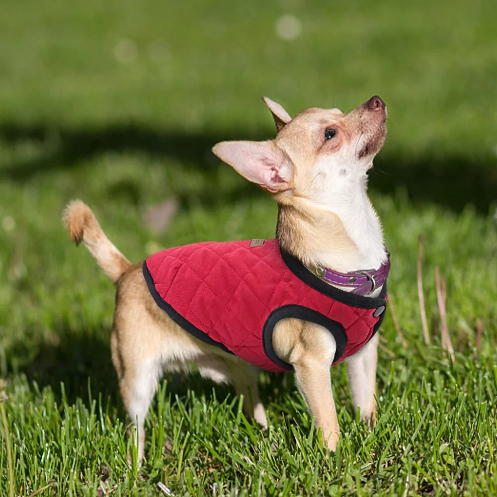 Dog Jacket
