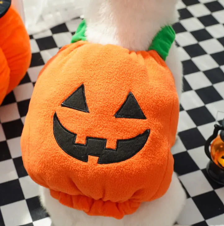 Pets Pumpkin Halloween Costume