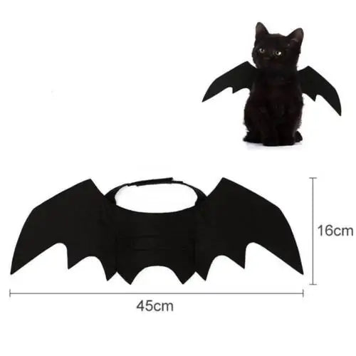 Bat Wings Pet Costume