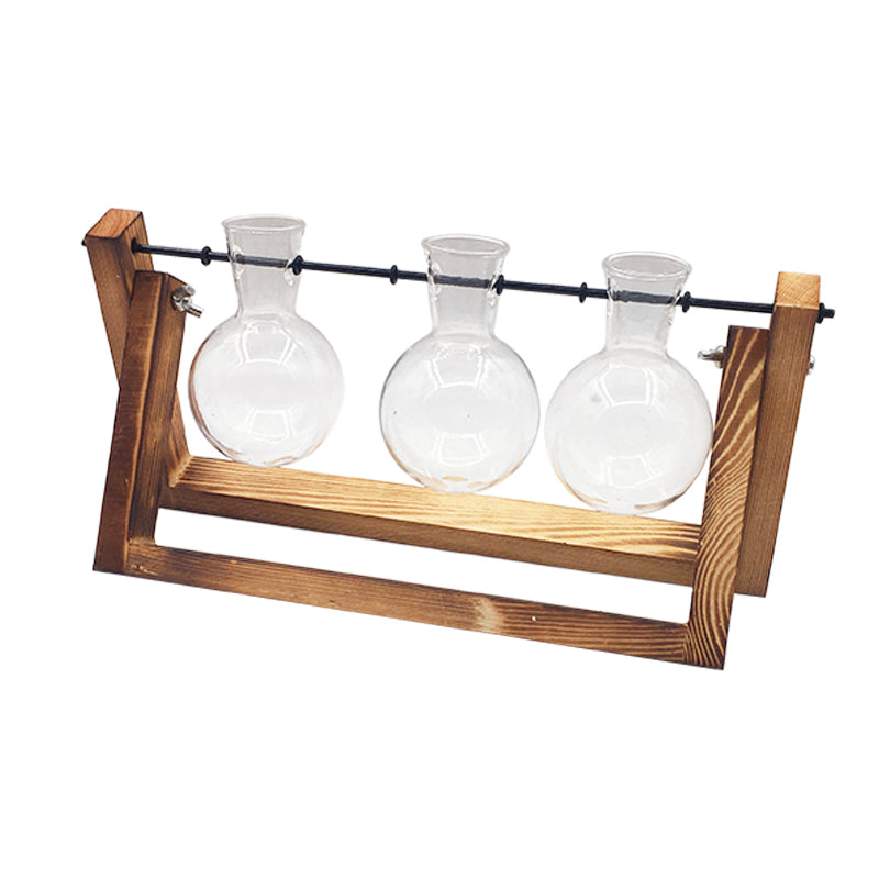 Transparent Vase for plants home decor