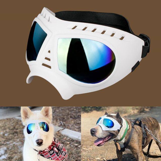 Soft Frame Dog Glasses