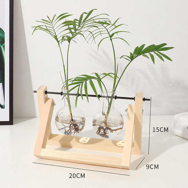 Transparent Vase for plants home decor