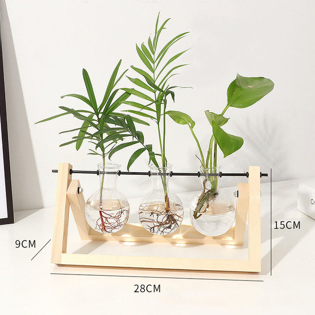 Transparent Vase for plants home decor