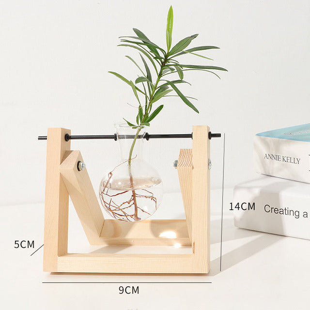 Transparent Vase for plants home decor