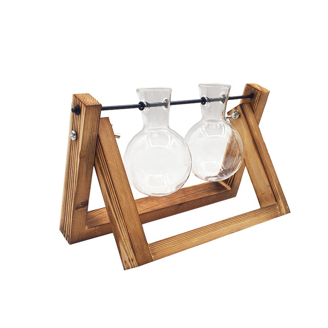 Transparent Vase for plants home decor