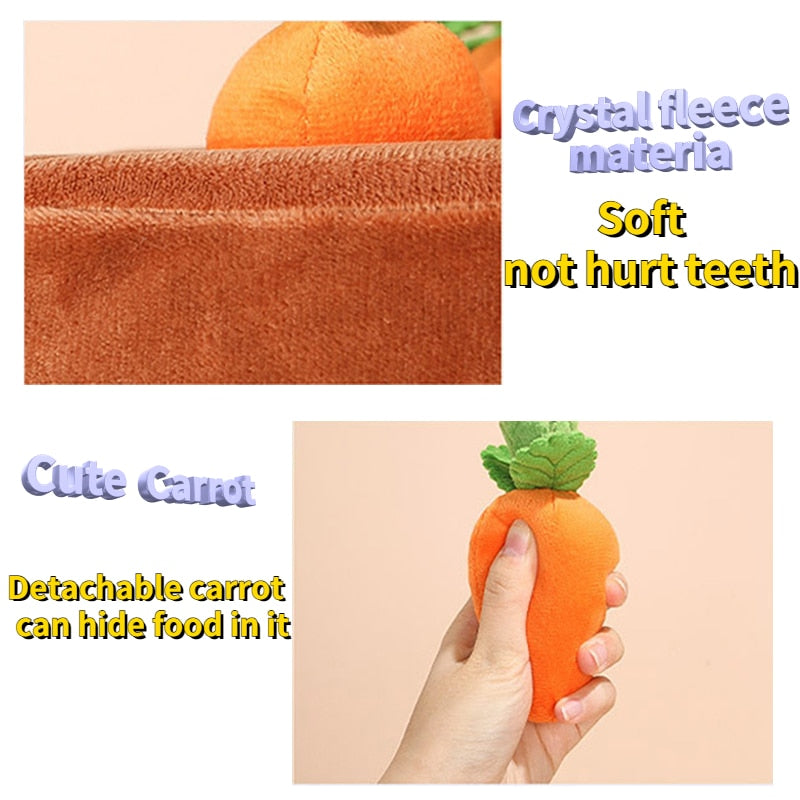 Pet Plush Foods Toys