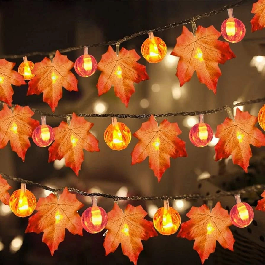Lights & Lighting