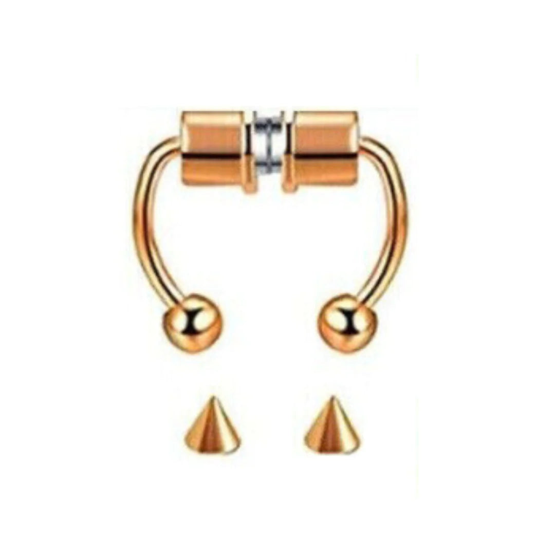Magnetic Fake Nose Rings