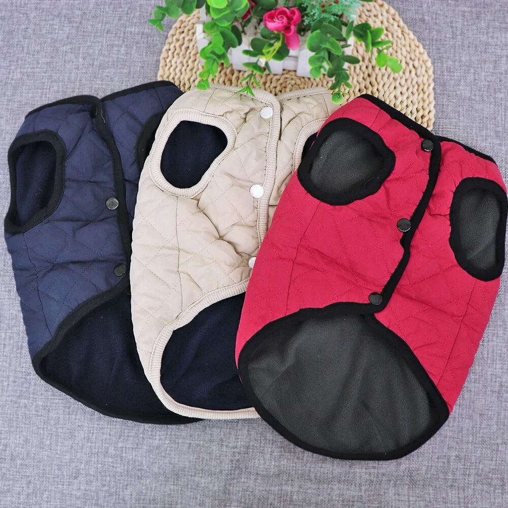 Dog Jacket