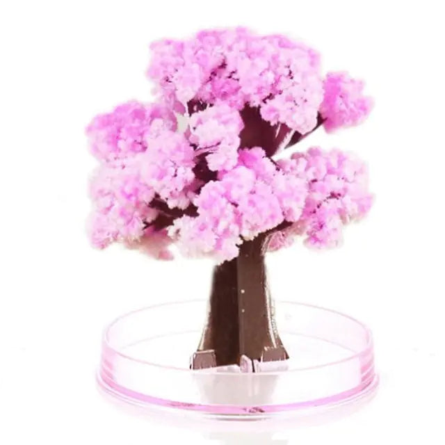 Magic Paper Tree and other Variants