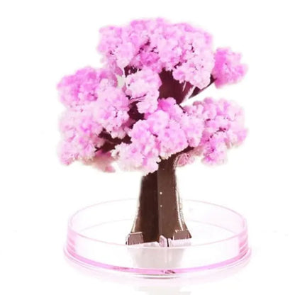 Magic Paper Tree and other Variants