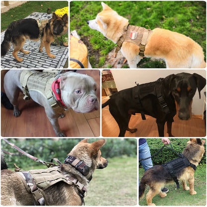 Tactical Harness with Handle & Bungee Leash for Large Dogs