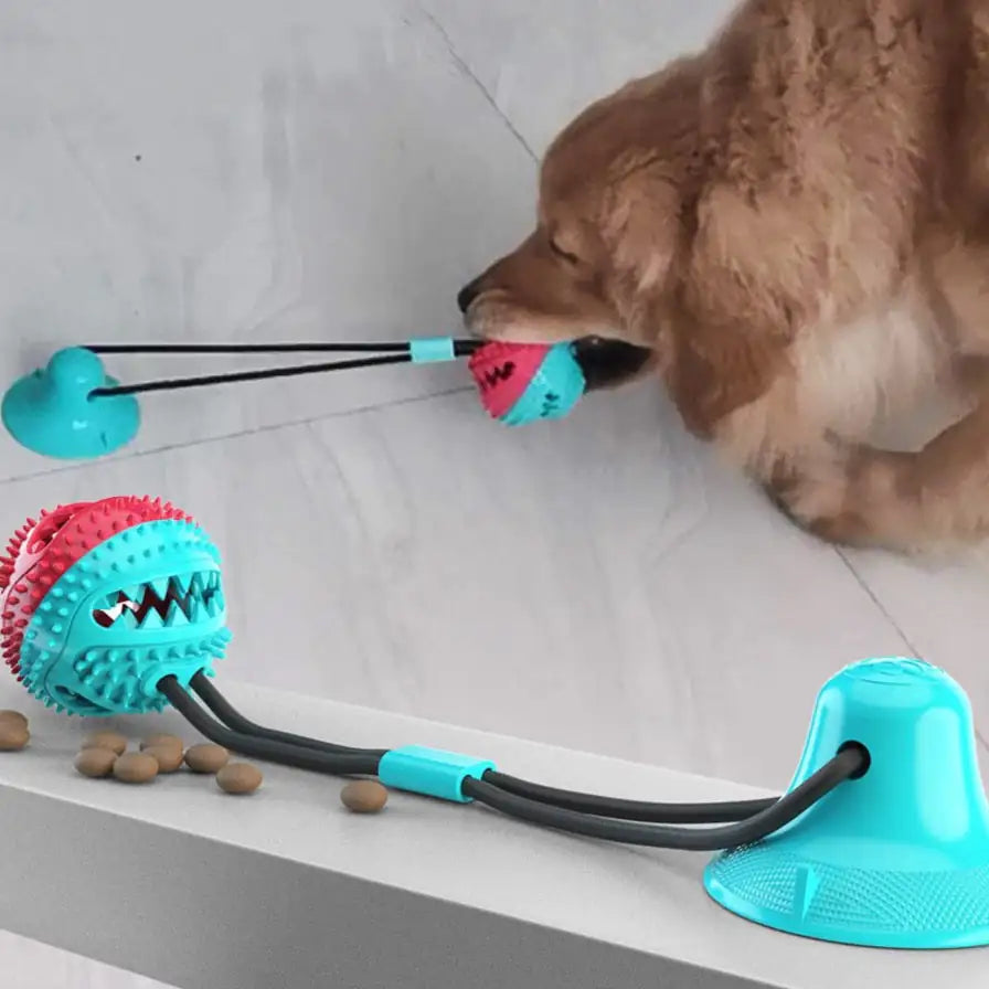 Stimulant Crunch Toy for Dogs