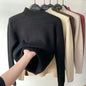 Womens Thick Lined Turtleneck Sweater