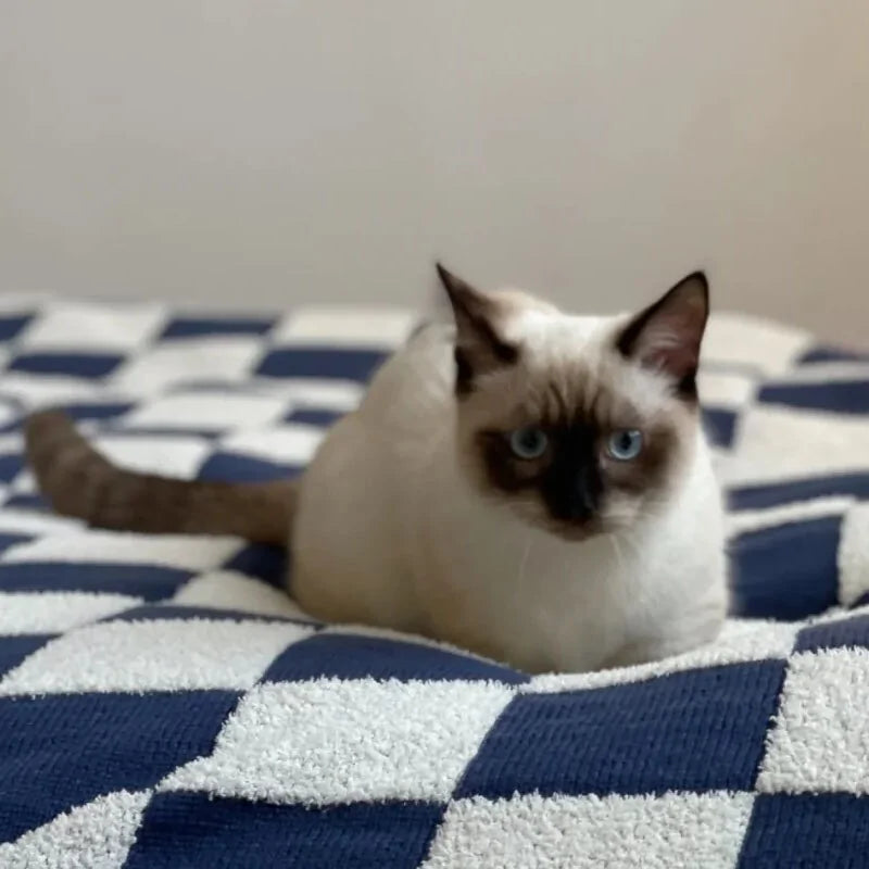 Checkerboard Plaid Blanket Fleece