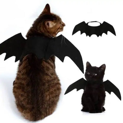 Bat Wings Pet Costume
