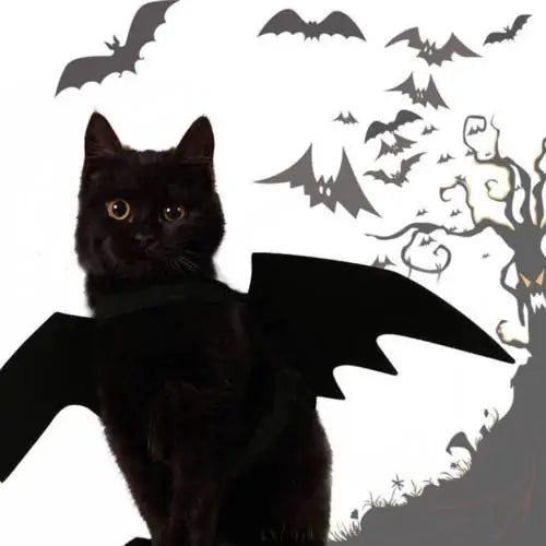 Bat Wings Pet Costume