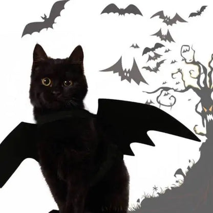 Bat Wings Pet Costume