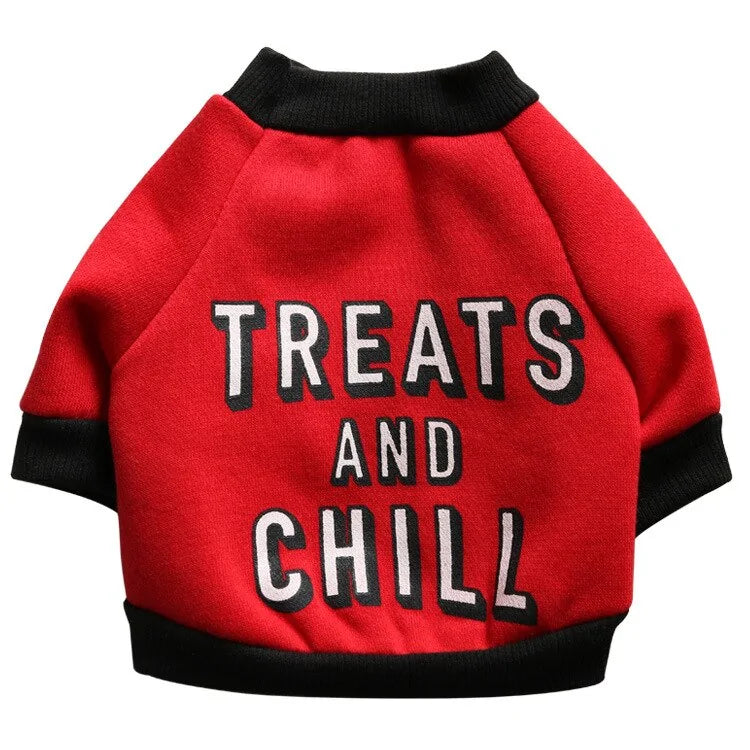 Treats and Chill Pet Sweater Outfit