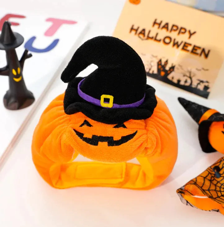 Pets Pumpkin Halloween Costume