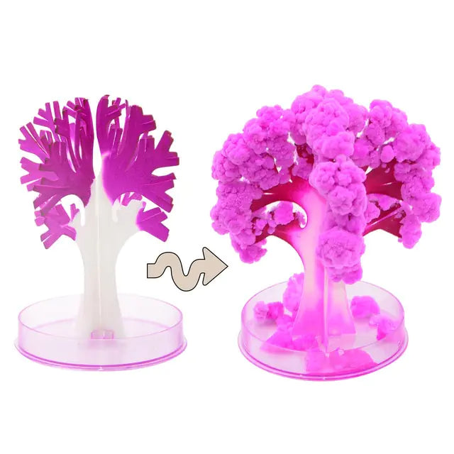 Magic Paper Tree and other Variants