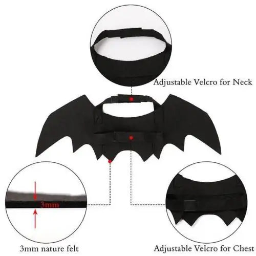 Bat Wings Pet Costume
