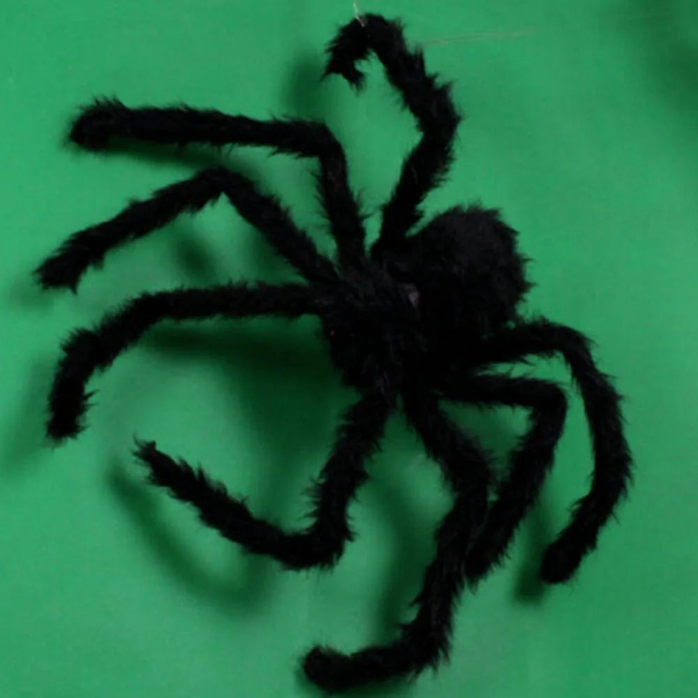 Spider Decoration