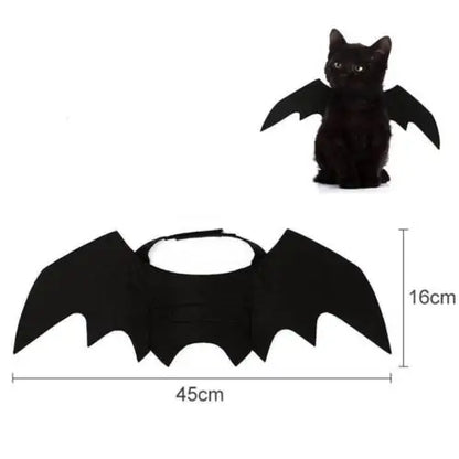 Bat Wings Pet Costume