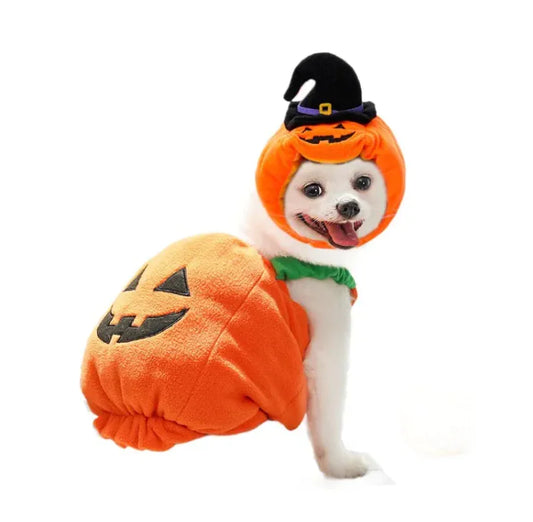 Pets Pumpkin Halloween Costume