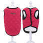 Dog Jacket