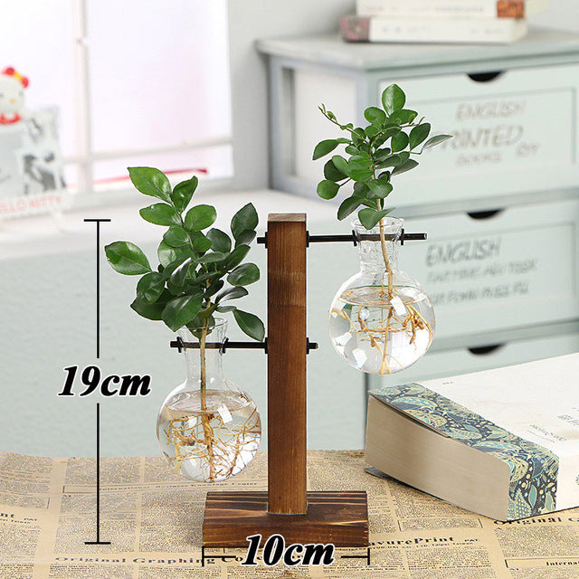 Transparent Vase for plants home decor