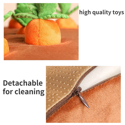 Pet Plush Foods Toys