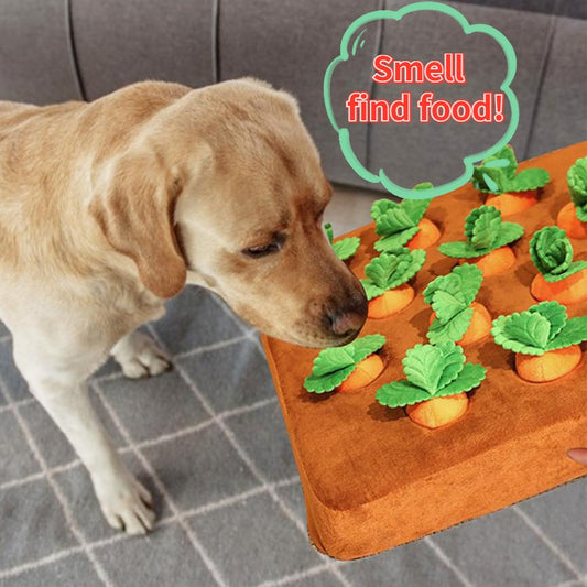 Pet Plush Foods Toys