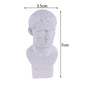Nordic Style Portrait Vase