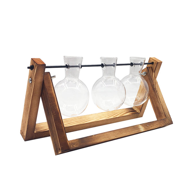 Transparent Vase for plants home decor