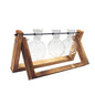 Transparent Vase for plants home decor