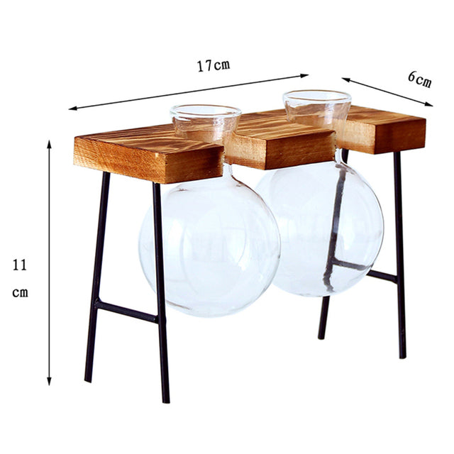 Transparent Vase for plants home decor