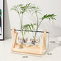Transparent Vase for plants home decor