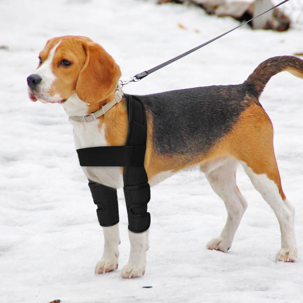 Pet Leg Joint Support