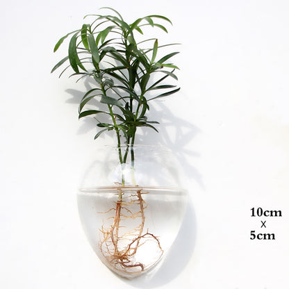 Wall Hanging Glass Vase