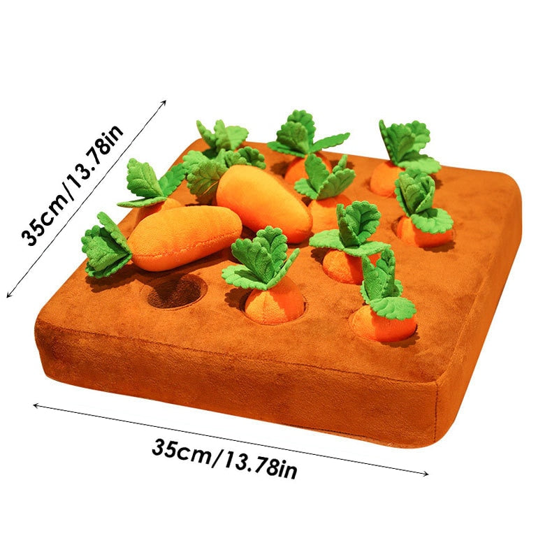Pet Plush Foods Toys