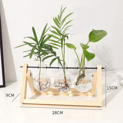 Transparent Vase for plants home decor