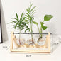 Transparent Vase for plants home decor
