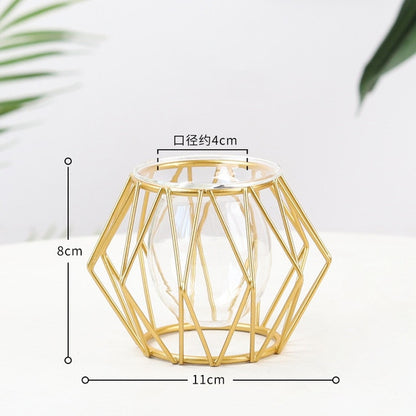 Nordic Simple Golden Glass Vase