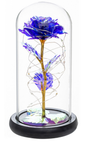 Beauty and The Beast Preserved Roses In Glass Galaxy Rose Flower LED Light Artificial Flowers Christmas Valentine Gift for Girls