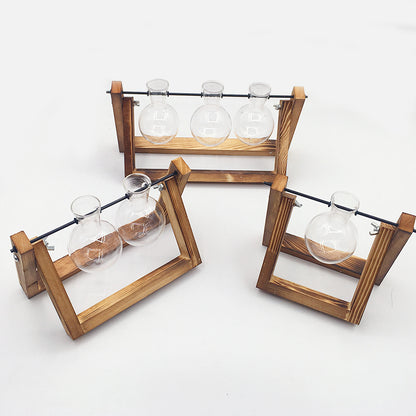 Transparent Vase for plants home decor