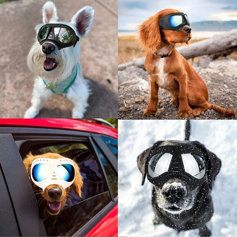 Soft Frame Dog Glasses