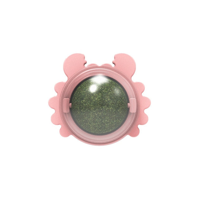 Natural Catnip Snack Ball for Cats