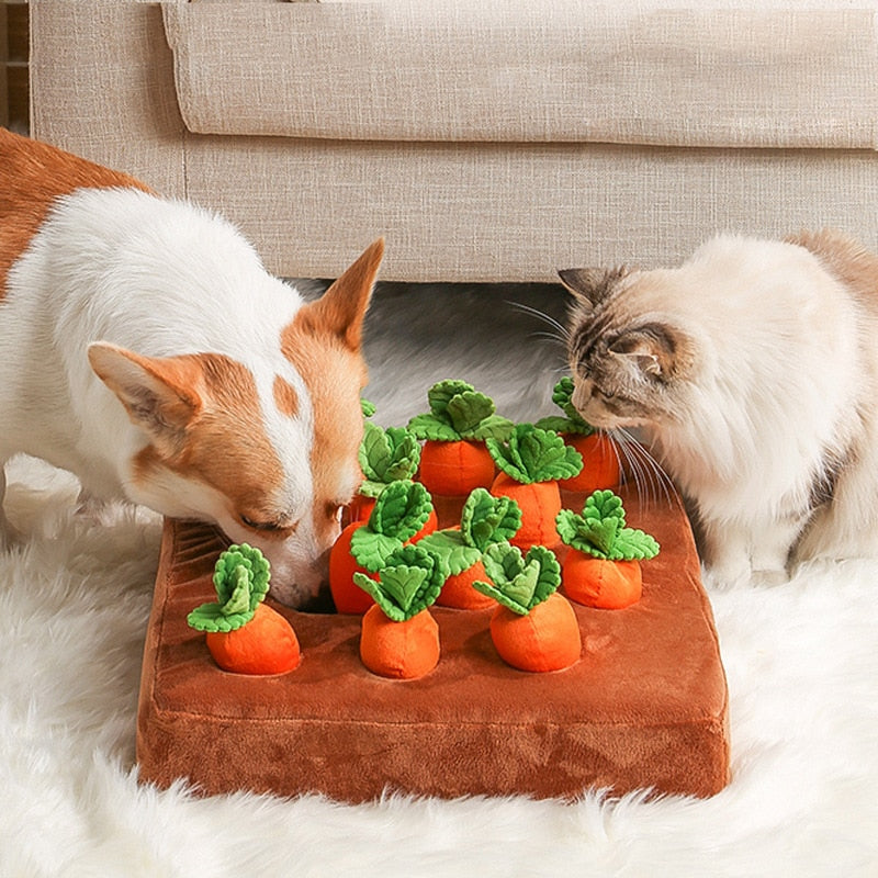 Pet Plush Foods Toys